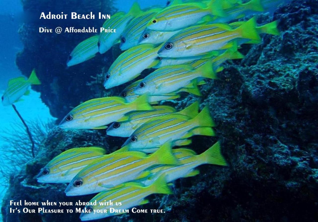 Adroit Beach Inn Guraidhoo (Kaafu Atoll) Luaran gambar