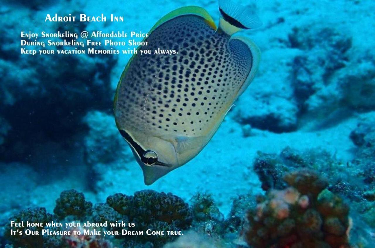 Adroit Beach Inn Guraidhoo (Kaafu Atoll) Luaran gambar