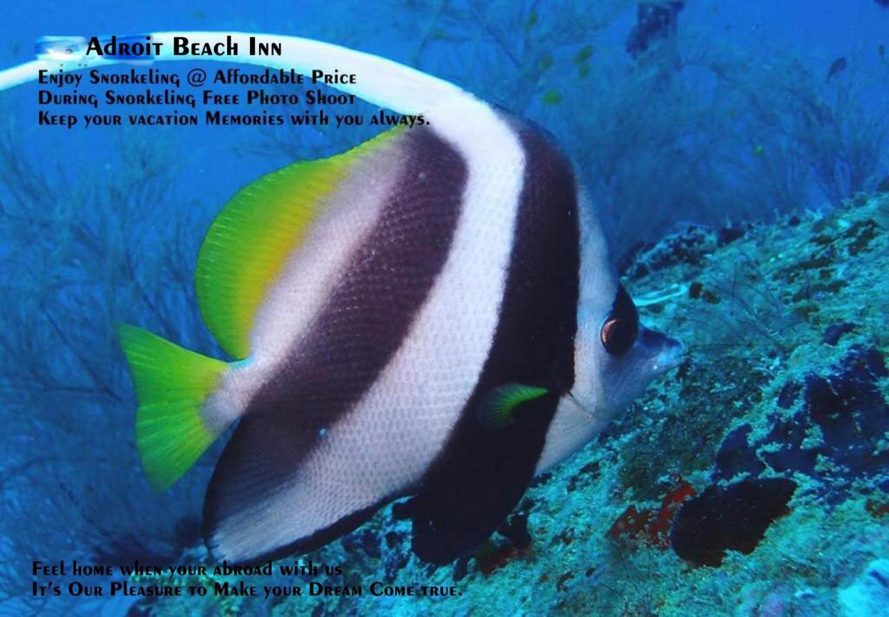 Adroit Beach Inn Guraidhoo (Kaafu Atoll) Luaran gambar