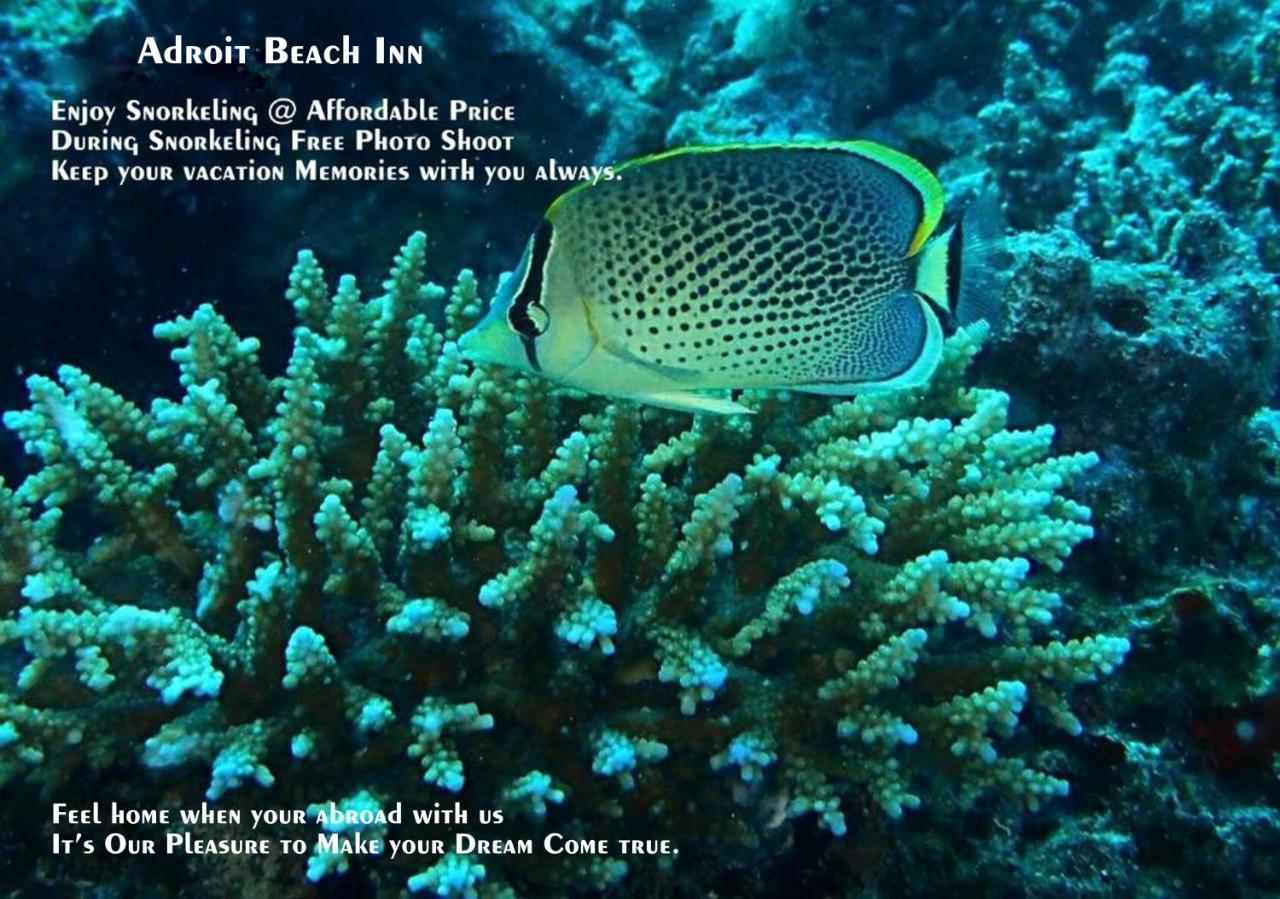 Adroit Beach Inn Guraidhoo (Kaafu Atoll) Luaran gambar