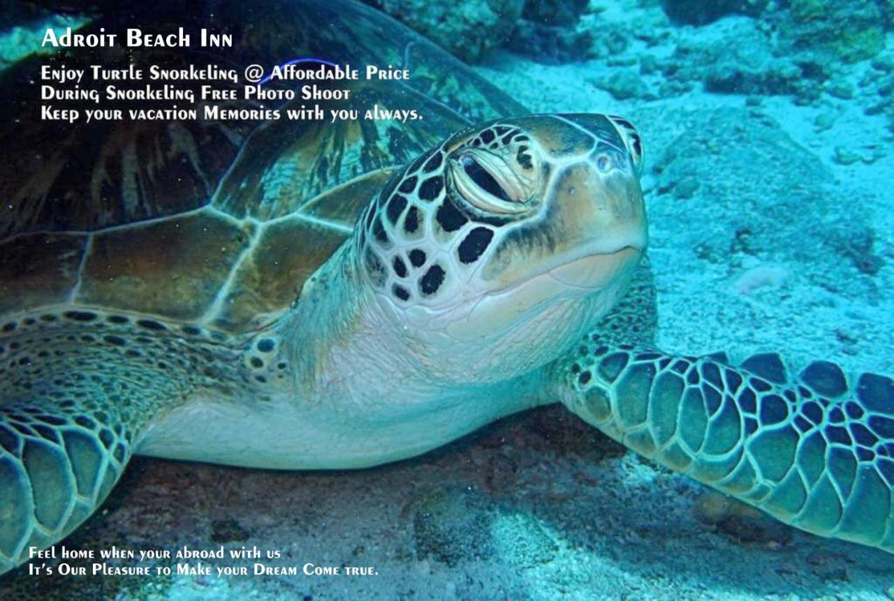 Adroit Beach Inn Guraidhoo (Kaafu Atoll) Luaran gambar