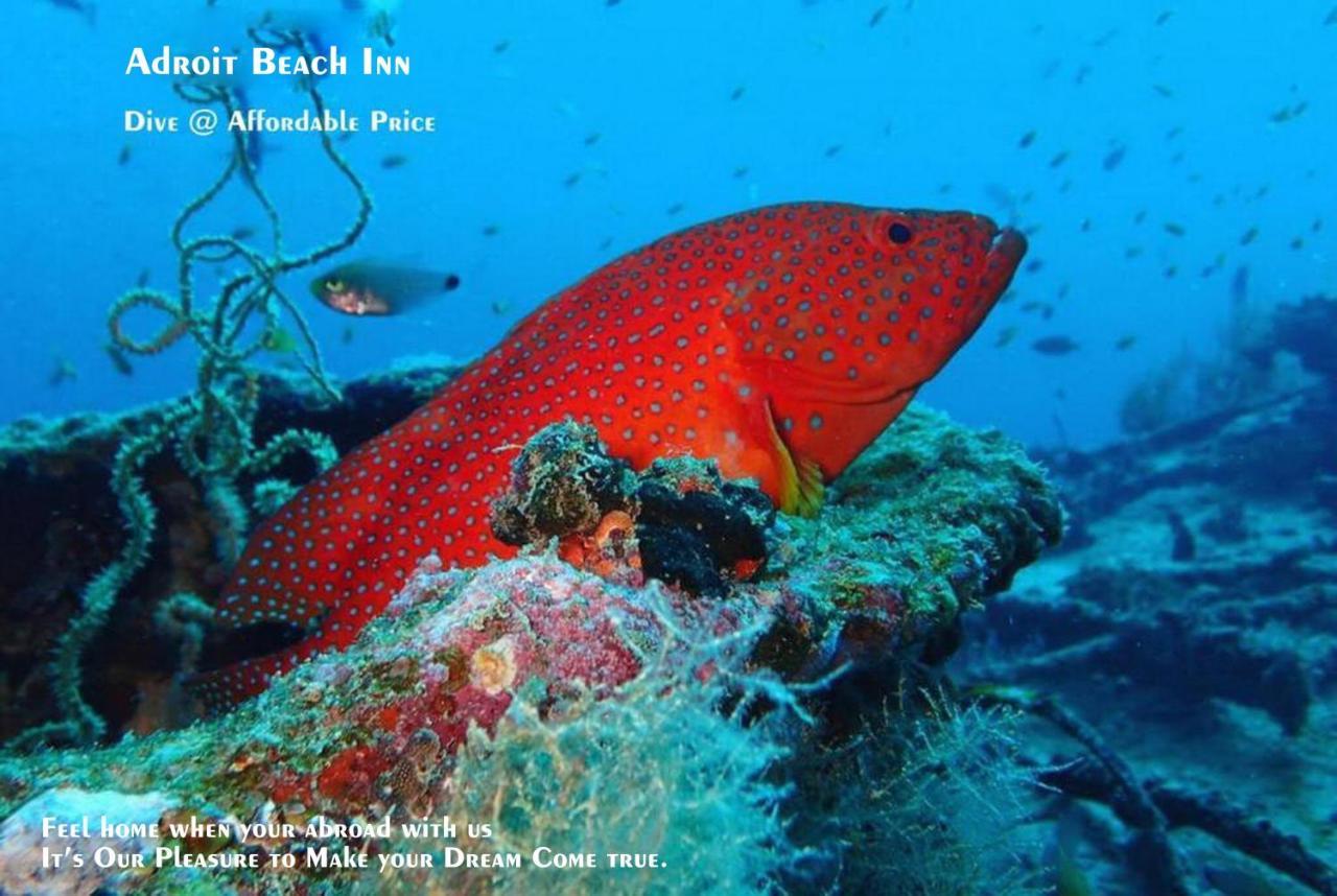 Adroit Beach Inn Guraidhoo (Kaafu Atoll) Luaran gambar