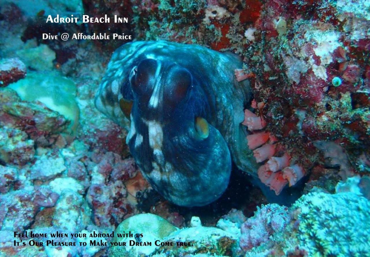 Adroit Beach Inn Guraidhoo (Kaafu Atoll) Luaran gambar