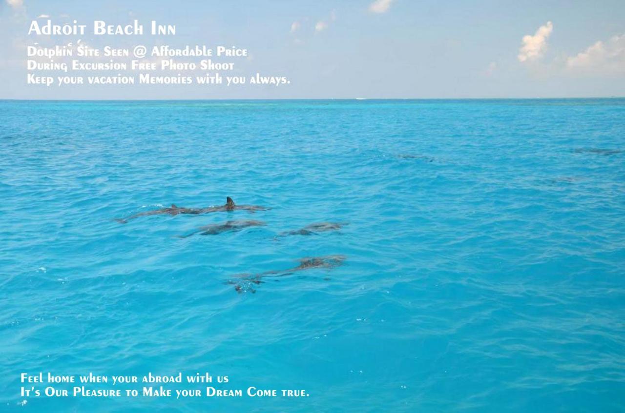 Adroit Beach Inn Guraidhoo (Kaafu Atoll) Luaran gambar